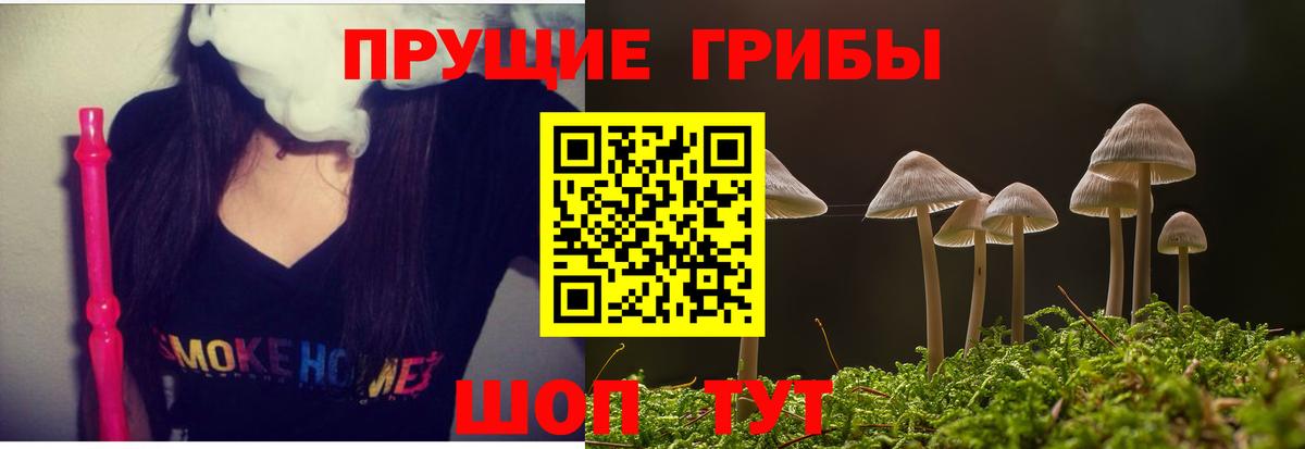Псилоцибиновые грибы ЛСД  Псилоцибиновые грибы прущие грибы  Похвистнево  Вход с VPN 